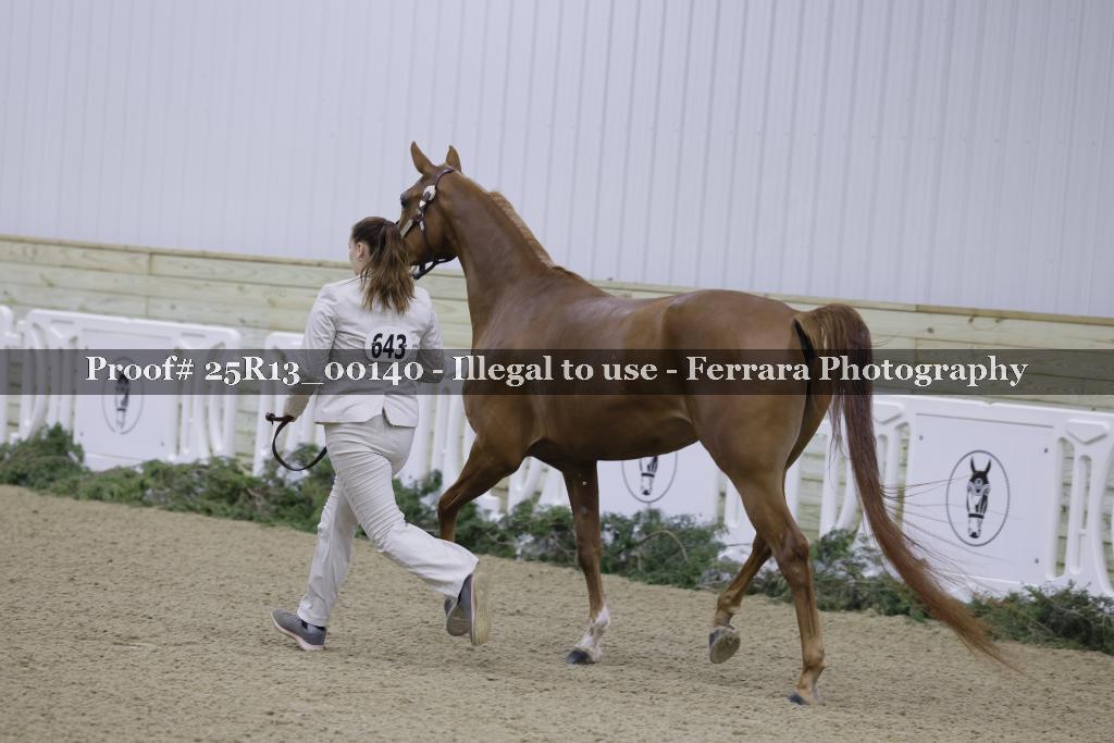 Proof 25R13_00140