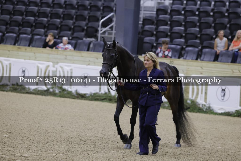 Proof 25R13_00141