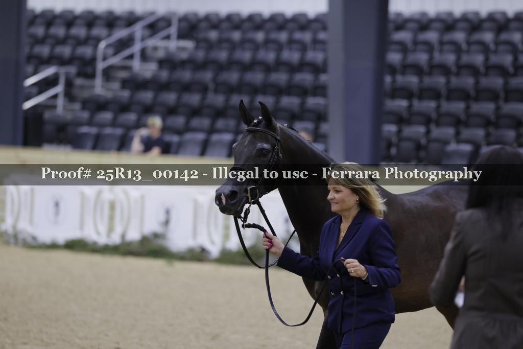 Proof 25R13_00142