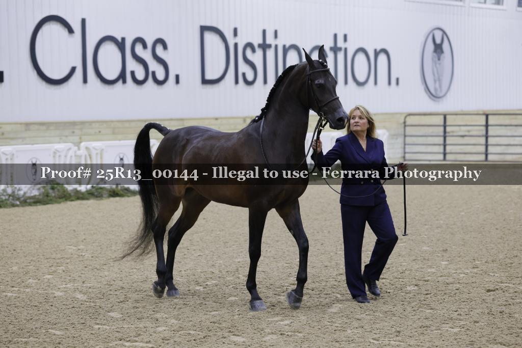 Proof 25R13_00144