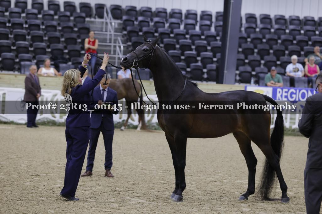 Proof 25R13_00145