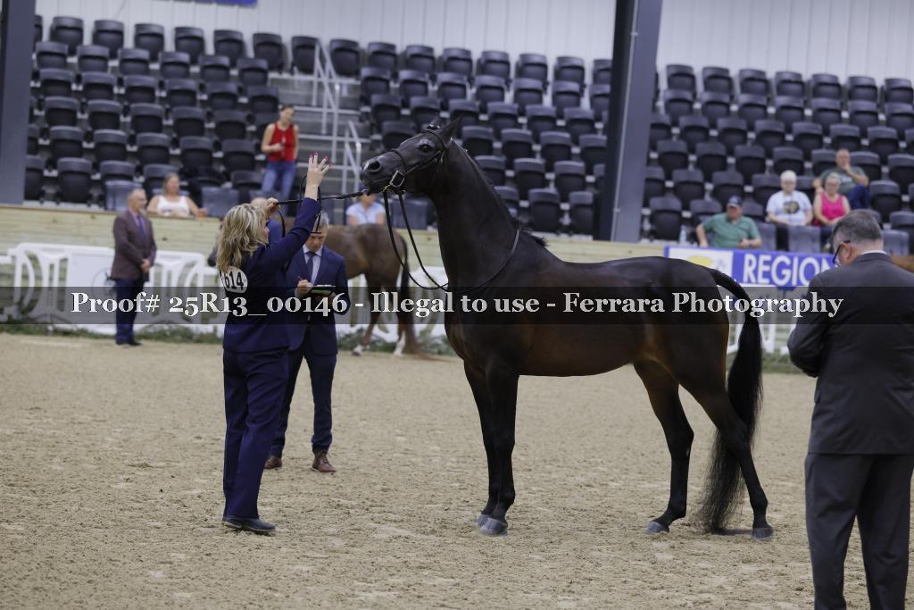 Proof 25R13_00146