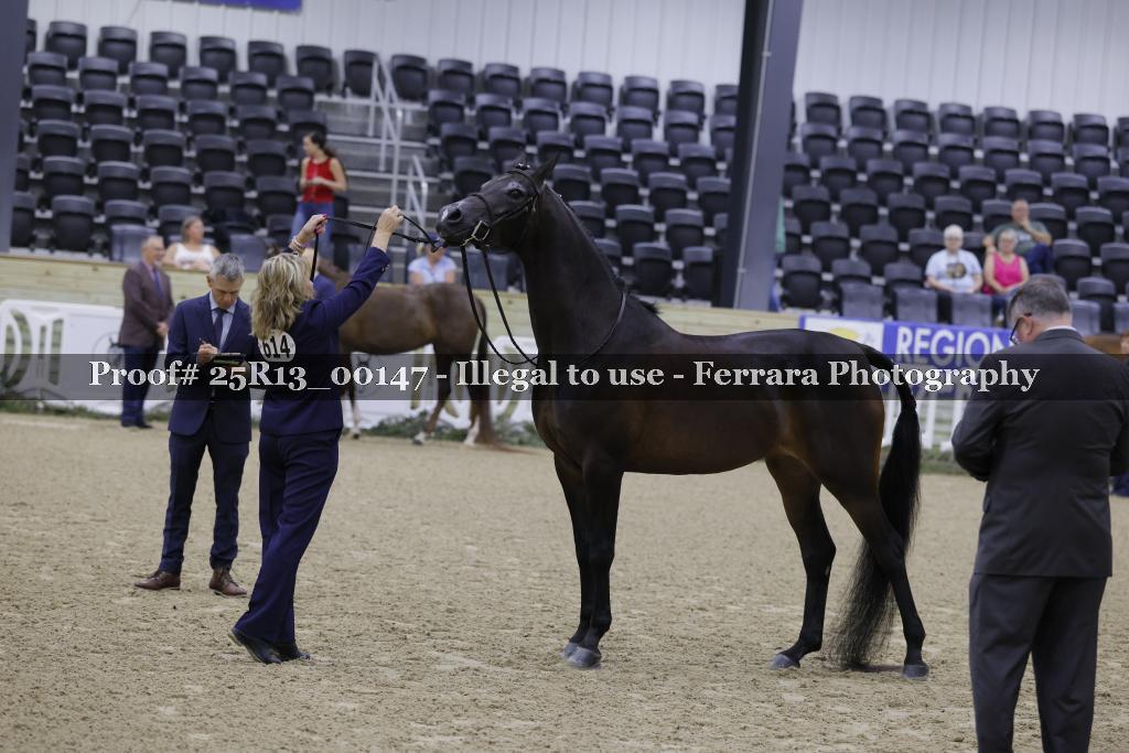 Proof 25R13_00147