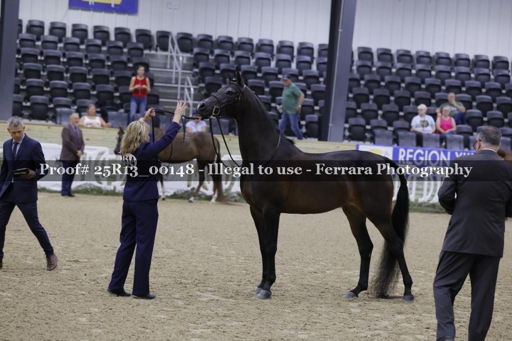 Proof 25R13_00148