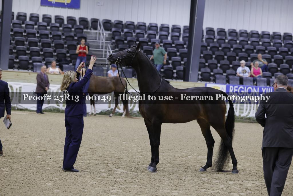 Proof 25R13_00149