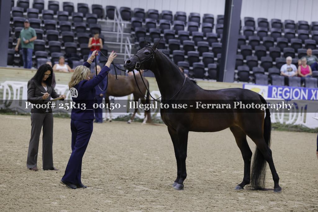 Proof 25R13_00150