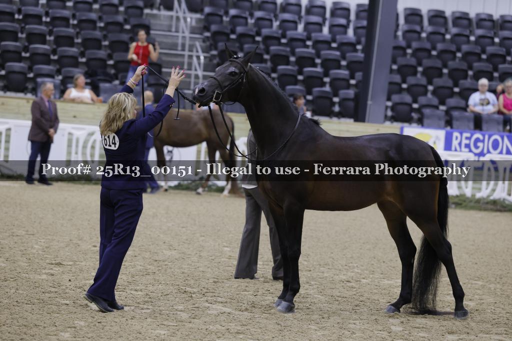 Proof 25R13_00151