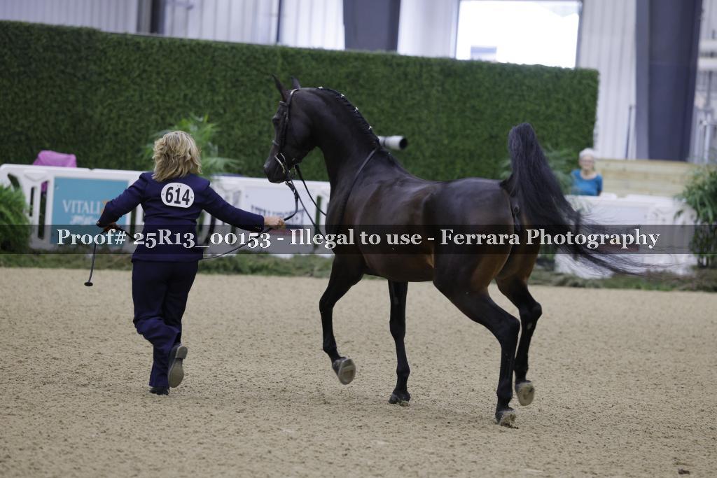 Proof 25R13_00153