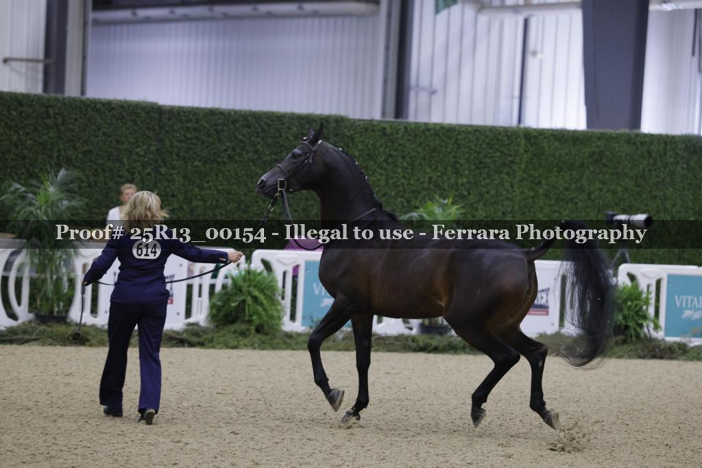 Proof 25R13_00154