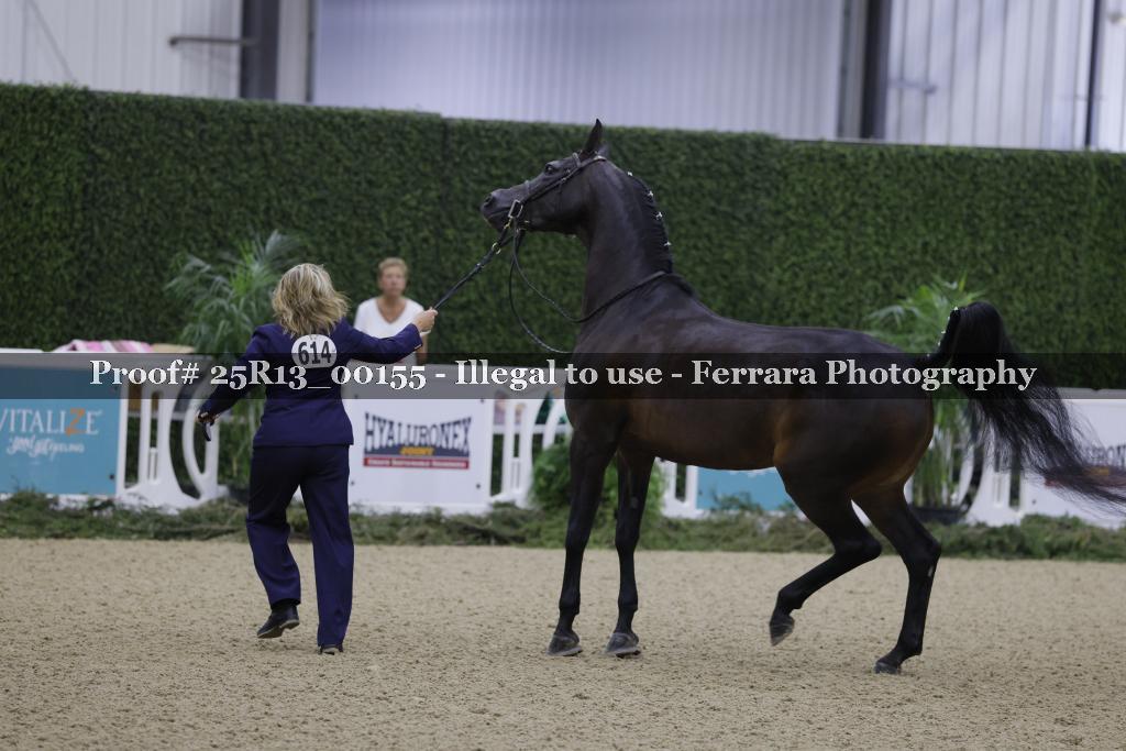 Proof 25R13_00155