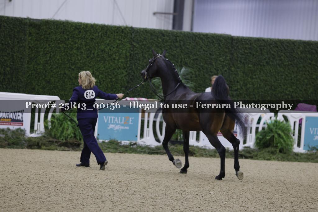 Proof 25R13_00156
