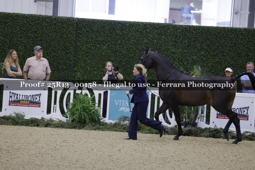 Proof 25R13_00158