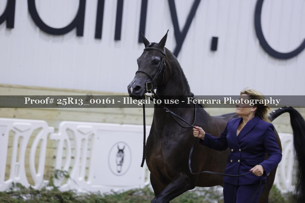 Proof 25R13_00161