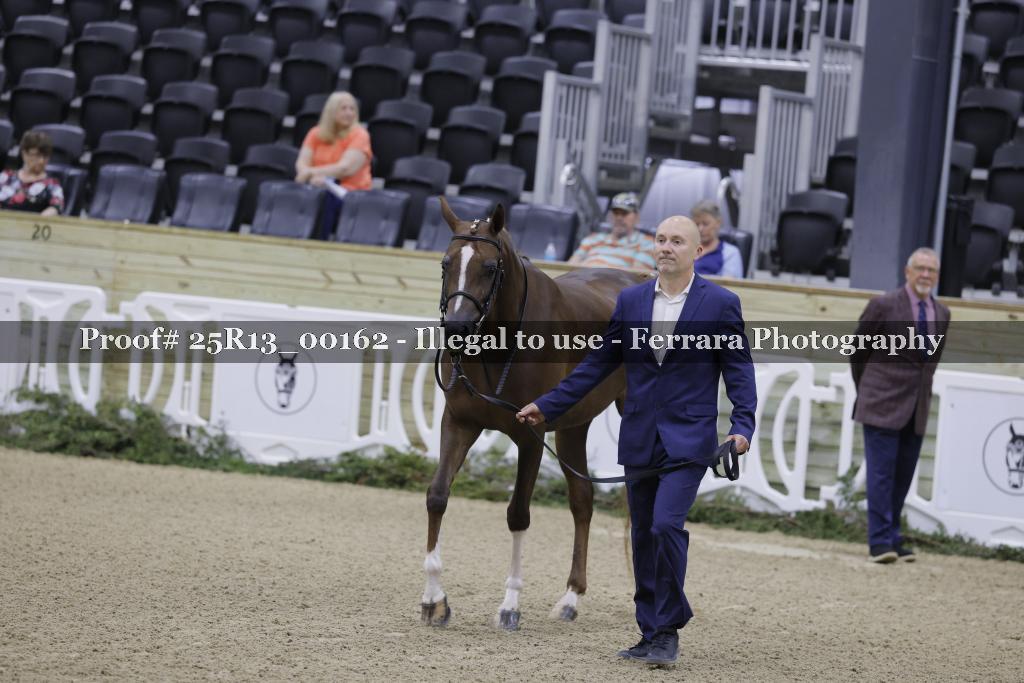 Proof 25R13_00162