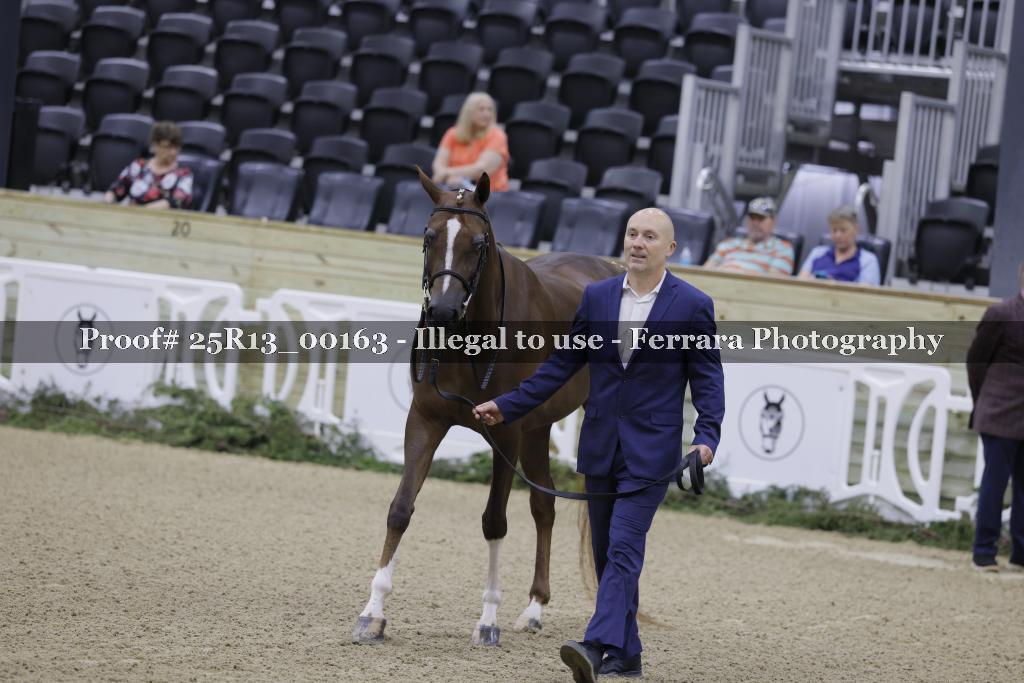 Proof 25R13_00163