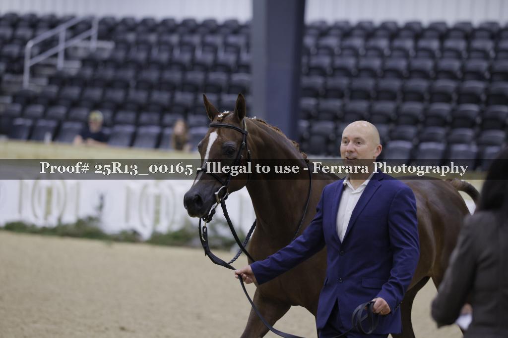 Proof 25R13_00165