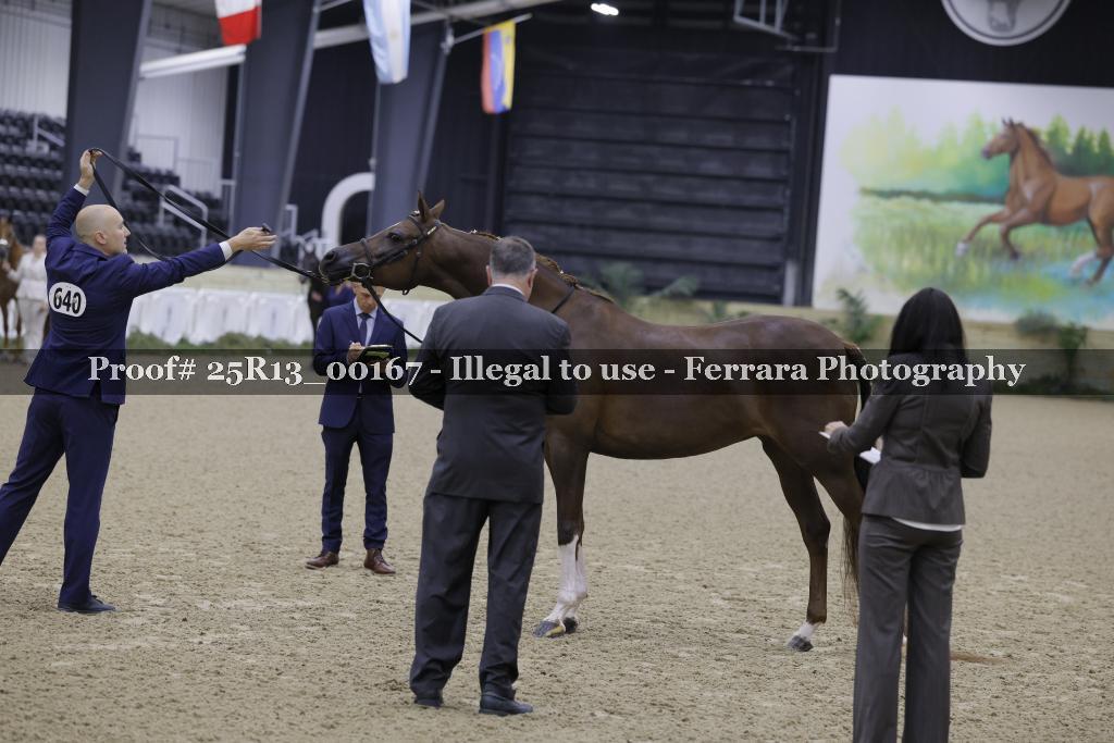 Proof 25R13_00167