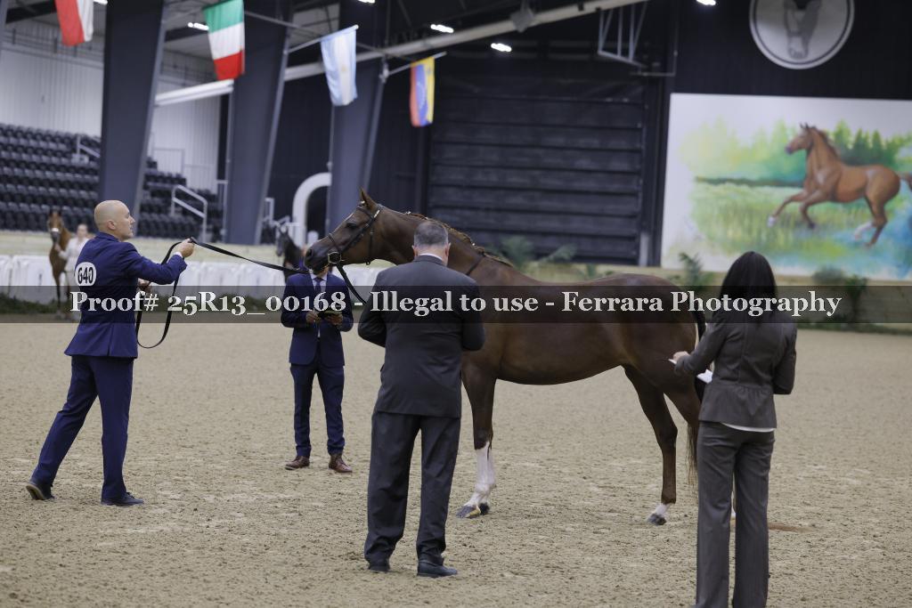 Proof 25R13_00168