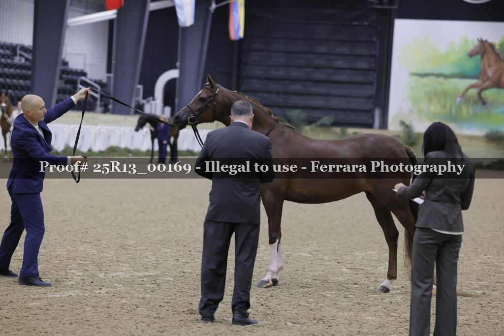 Proof 25R13_00169