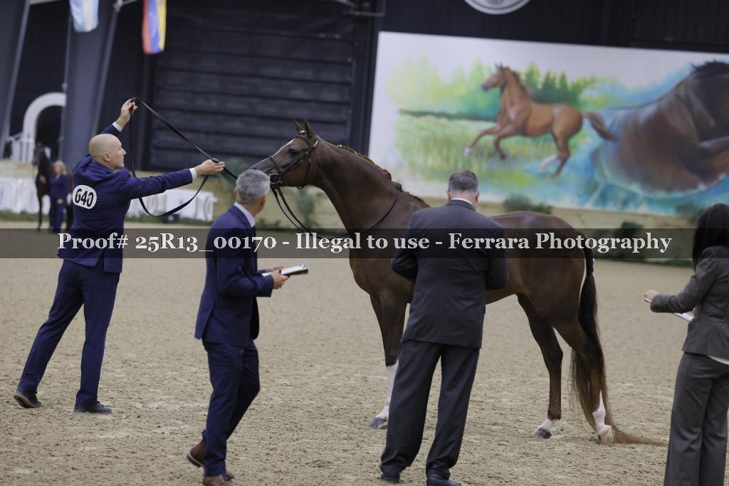 Proof 25R13_00170