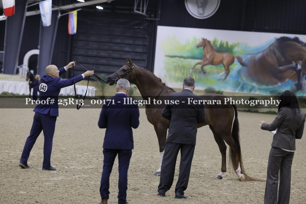 Proof 25R13_00171