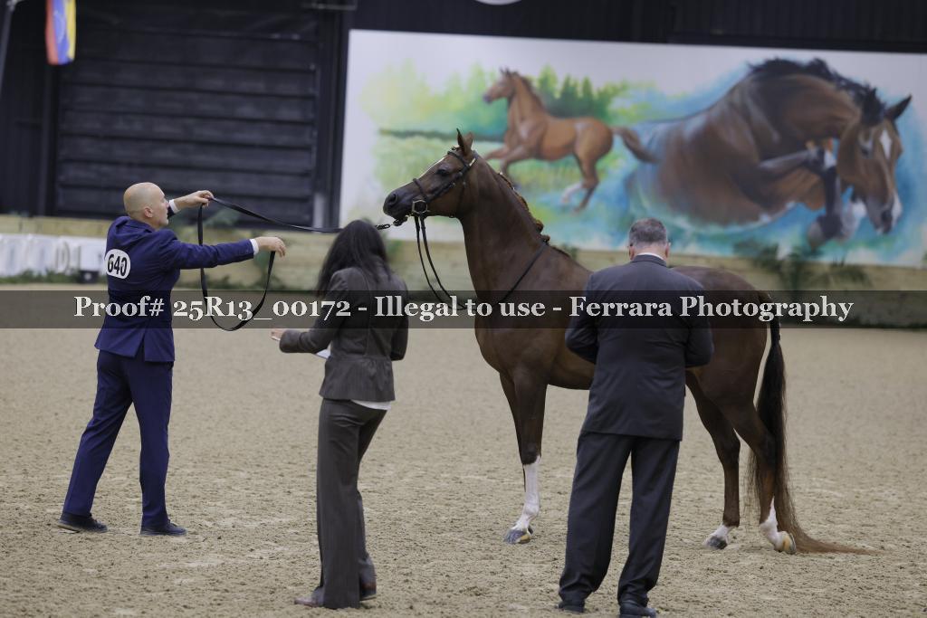 Proof 25R13_00172