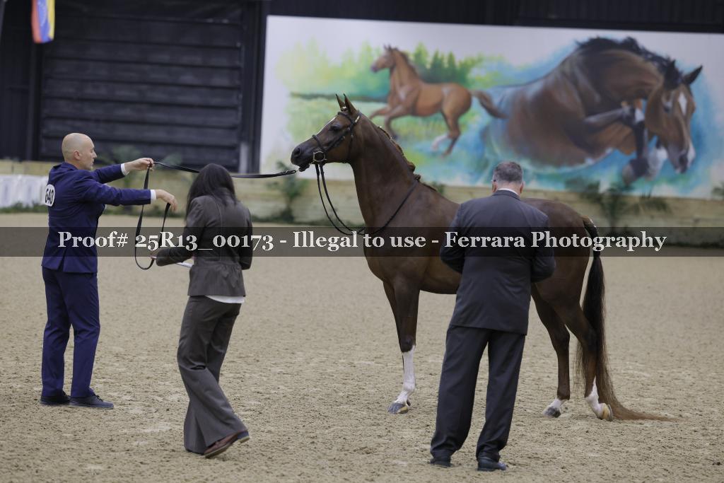 Proof 25R13_00173