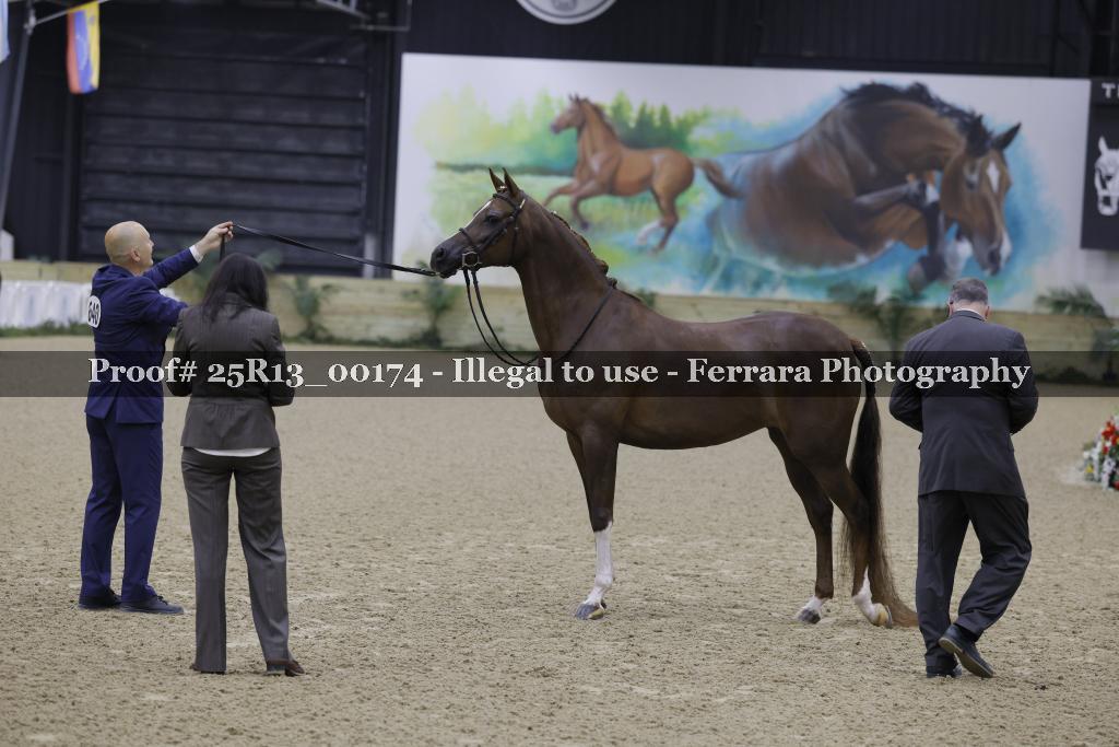 Proof 25R13_00174