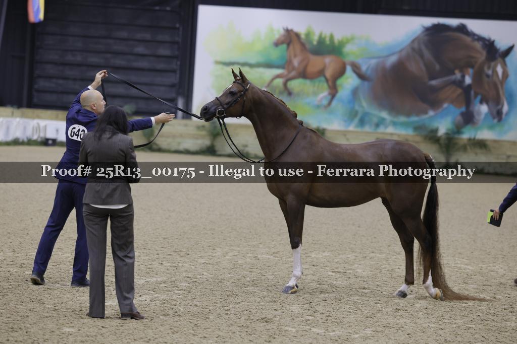 Proof 25R13_00175