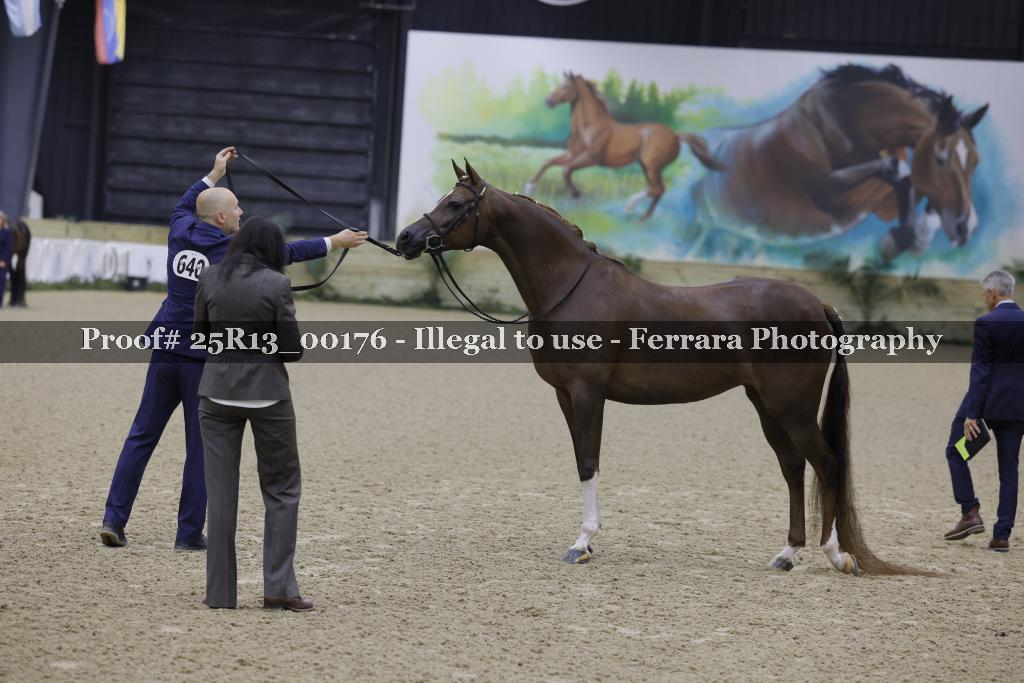 Proof 25R13_00176