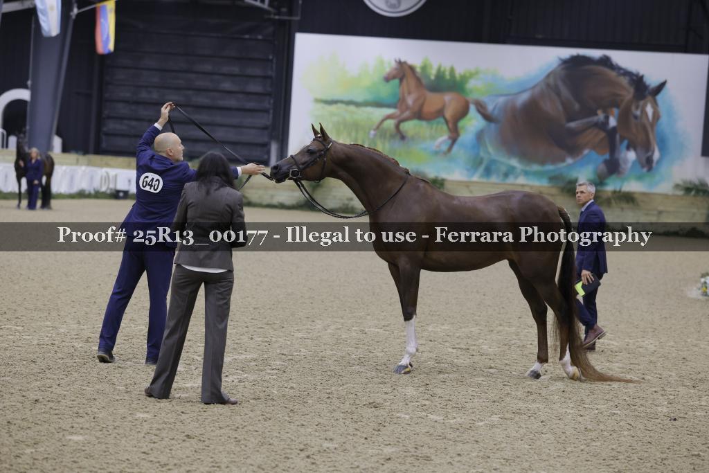 Proof 25R13_00177