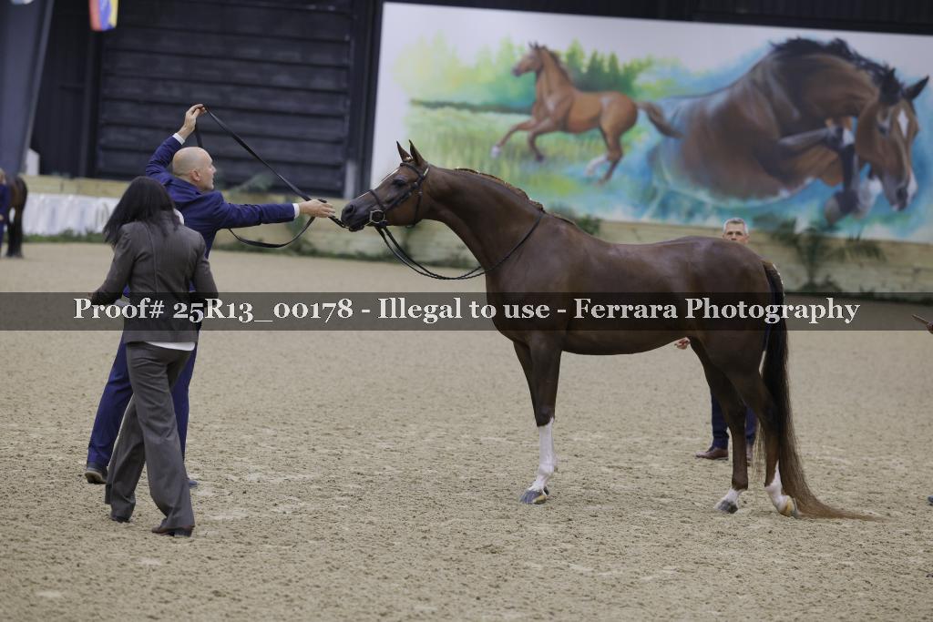 Proof 25R13_00178