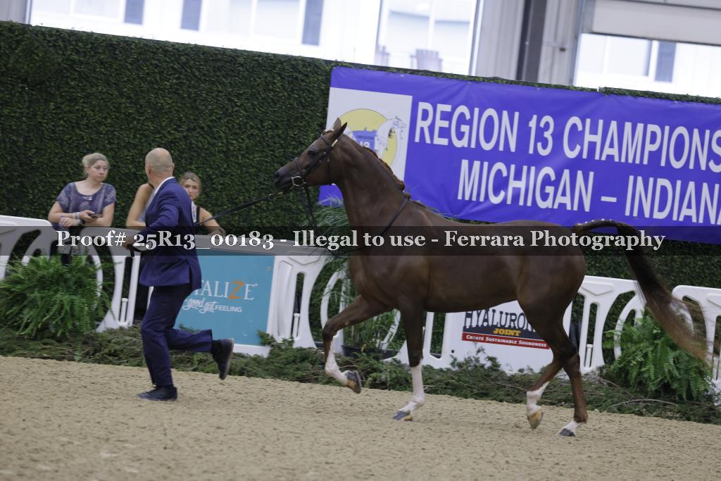 Proof 25R13_00183
