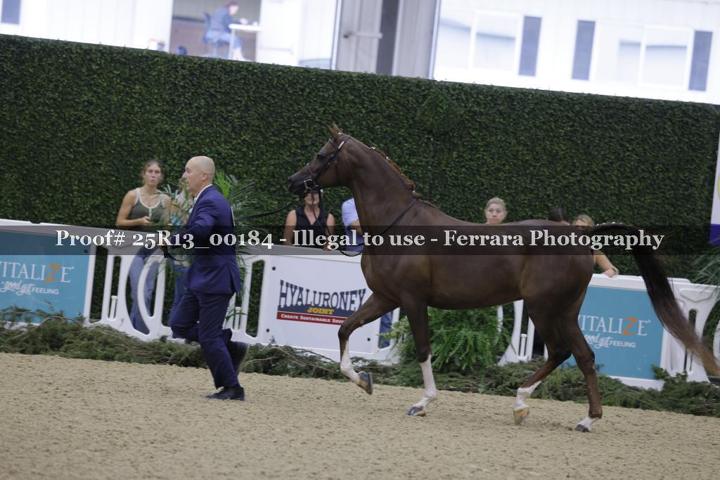 Proof 25R13_00184