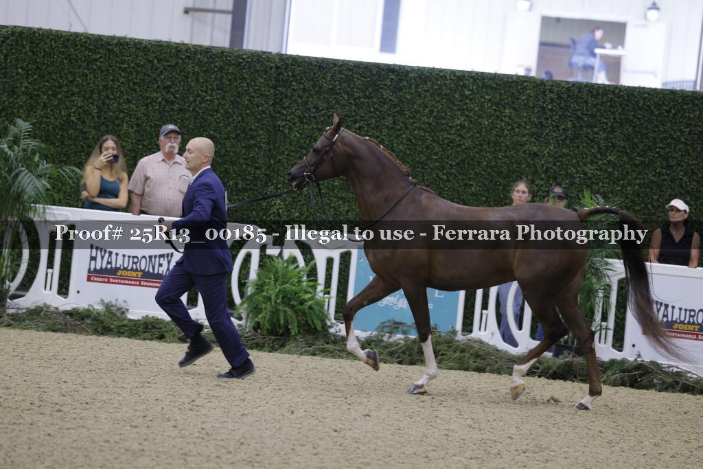 Proof 25R13_00185