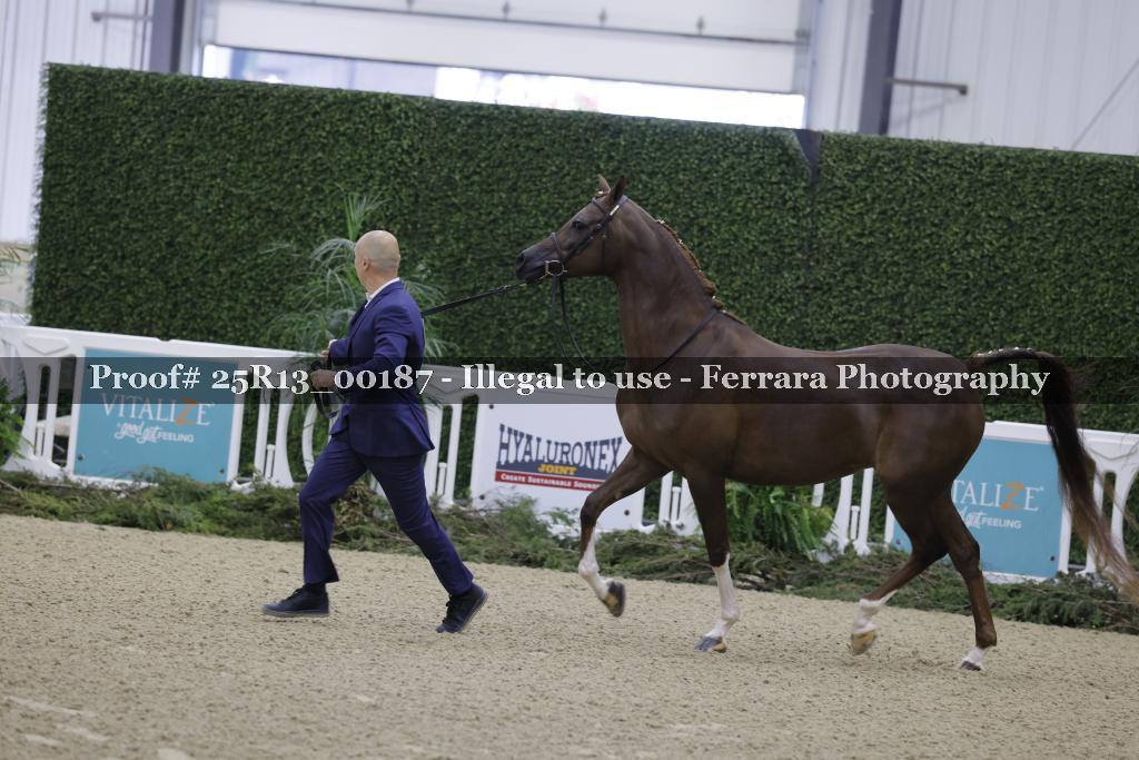 Proof 25R13_00187