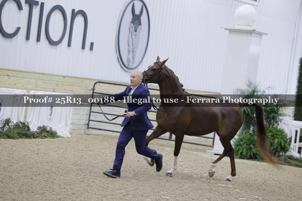 Proof 25R13_00188