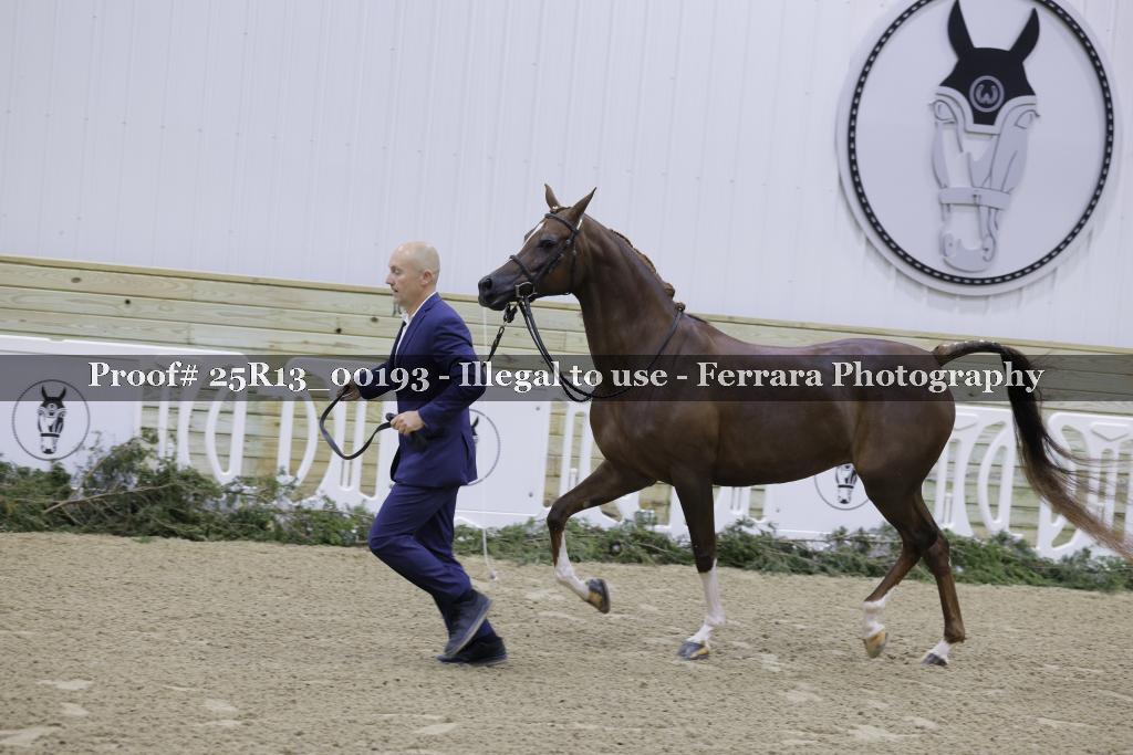 Proof 25R13_00193