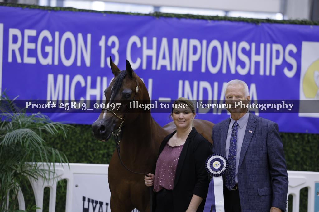 Proof 25R13_00197