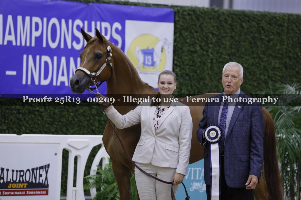 Proof 25R13_00209