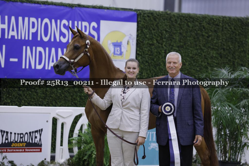 Proof 25R13_00211