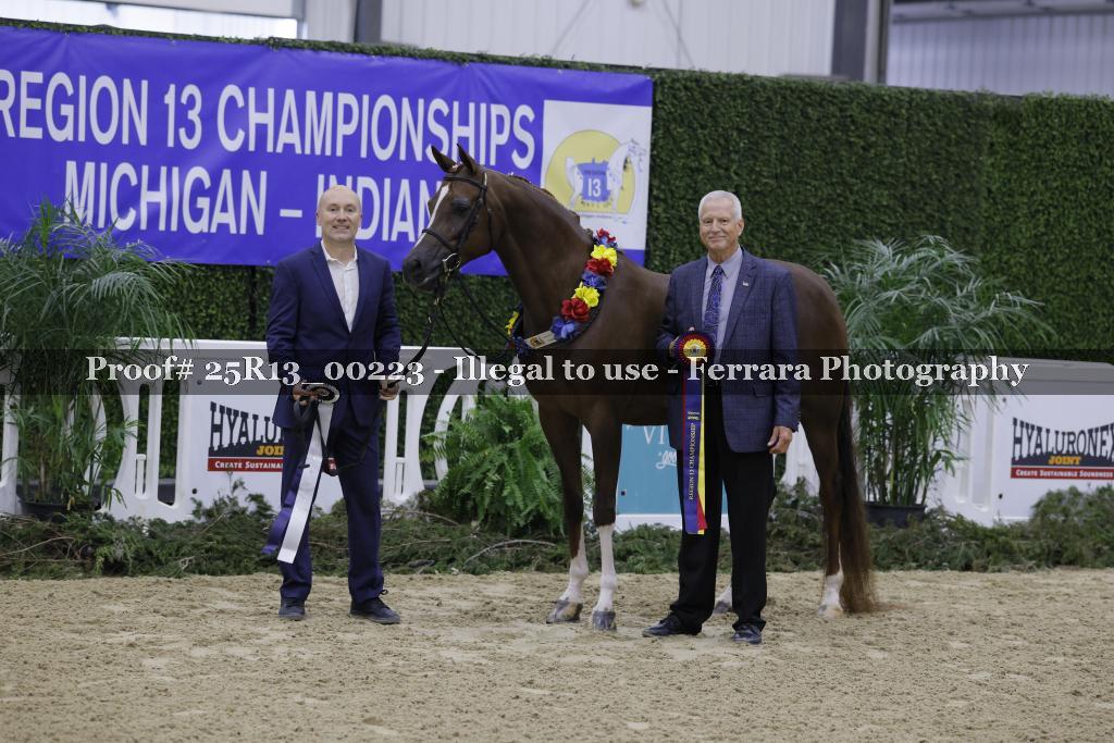 Proof 25R13_00223