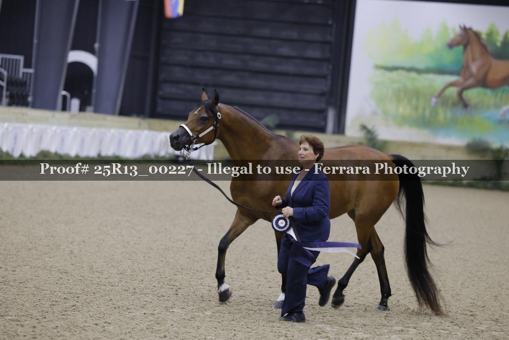Proof 25R13_00227