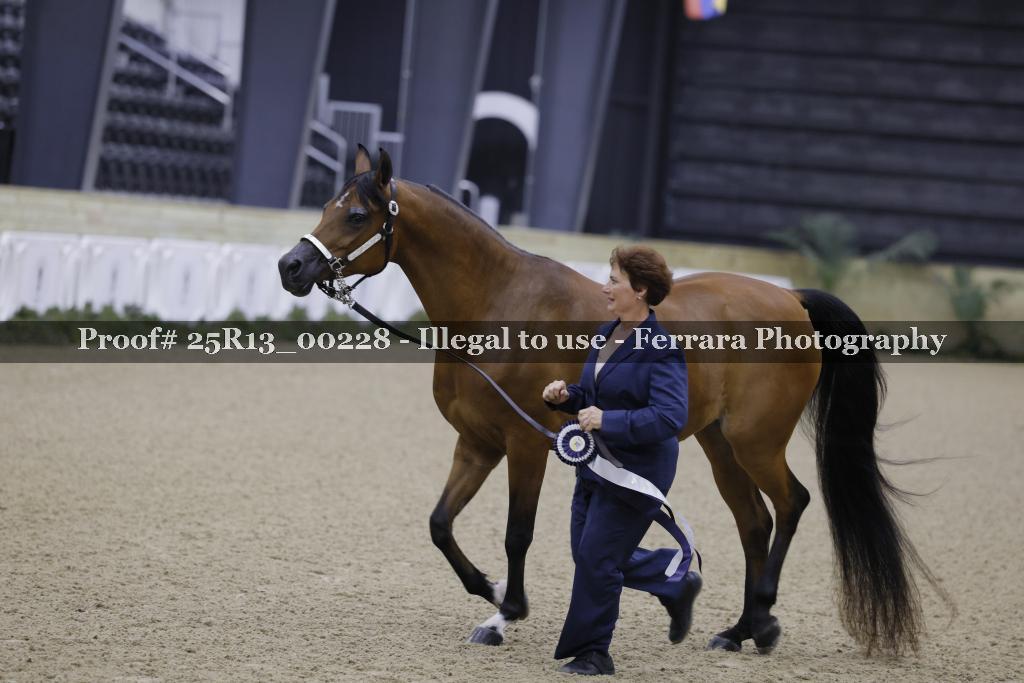 Proof 25R13_00228