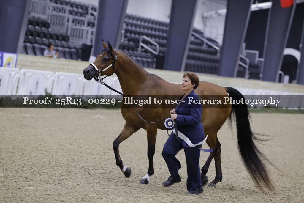 Proof 25R13_00229