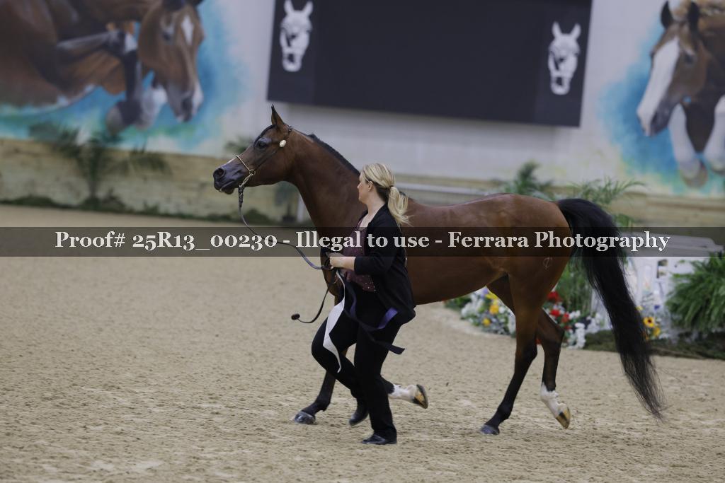 Proof 25R13_00230