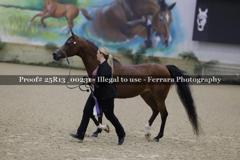Proof 25R13_00231