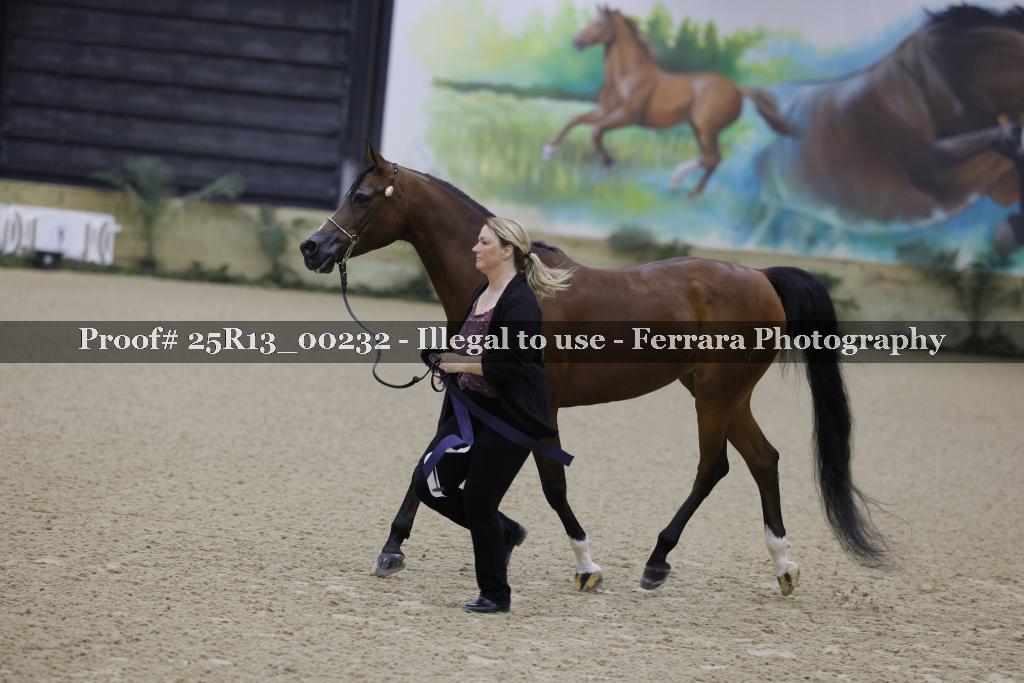Proof 25R13_00232