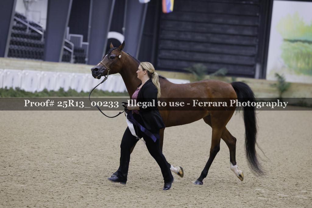 Proof 25R13_00233