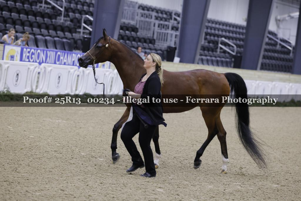 Proof 25R13_00234